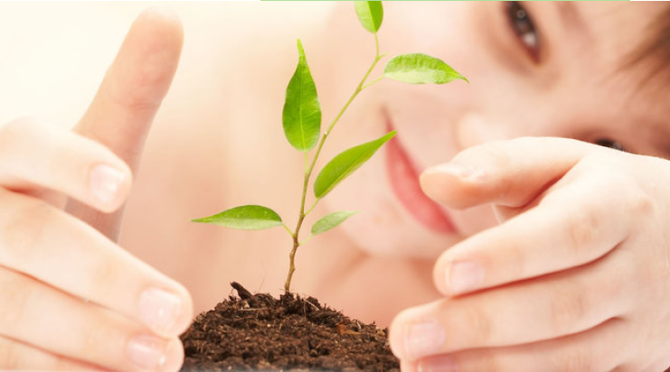 defta_demarche_eco_responsable